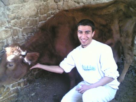 raradi et la vache kiri