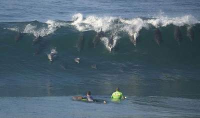 wa 3la dicor f south africa t9oul liya ana agadir bay
